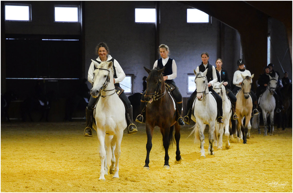 Zentrum für pferdegerechtes Reiten Miryam Husain