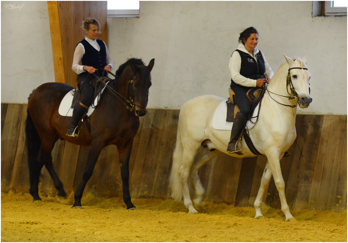 Zentrum für pferdegerechtes Reiten Miryam Husain Burg Kakesbeck