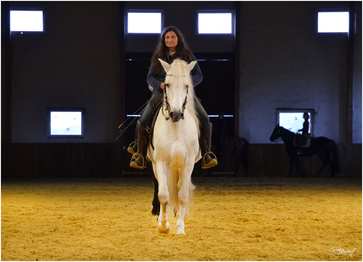 Mirjam Husain Zentrum für pferdegerechtes Reiten Burg Kakesbeck