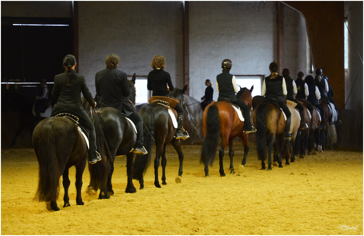 Im Zentrum für pferdegerechtes Reiten Miryam Husain Burg Kakesbeck