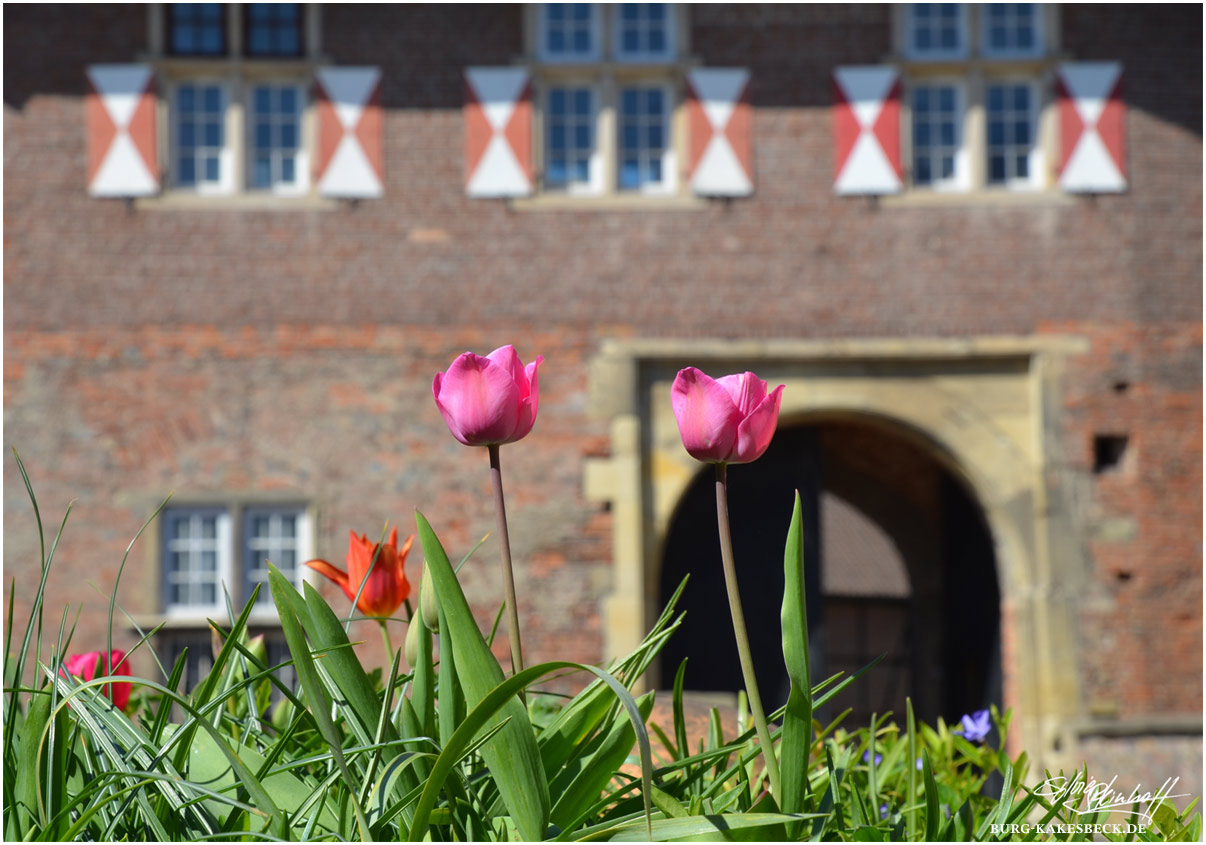 Frühling auf Burg Kakesbeck