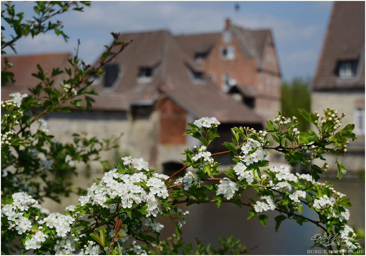 Blick auf die Korn-Wassermühle der Burg Kakesbeck