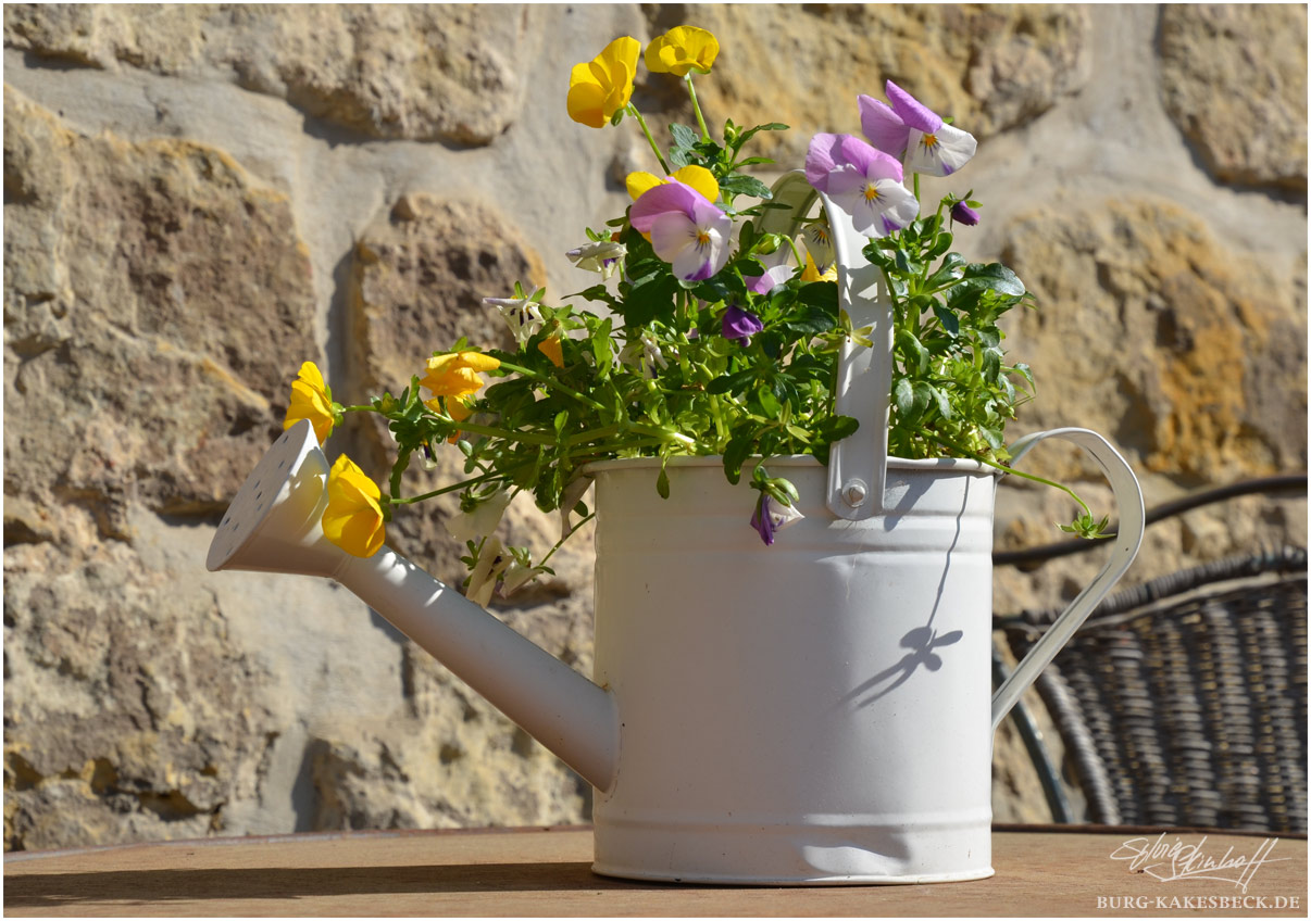 Frühling auf Burg Kakesbeck