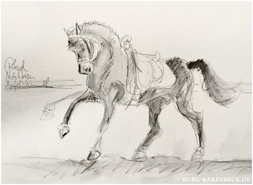Pferd eines Gestüts nahe Burg Kakesbeck, Illustration Sylvia Steinhoff geb. Benub